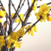 Thumbnail of related posts 092