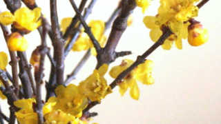 Thumbnail of post image 017