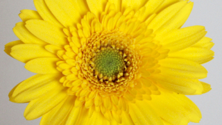 Thumbnail of post image 081