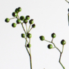 Thumbnail of related posts 057