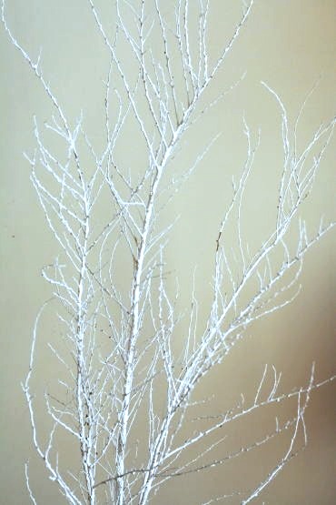 白塗り 枝