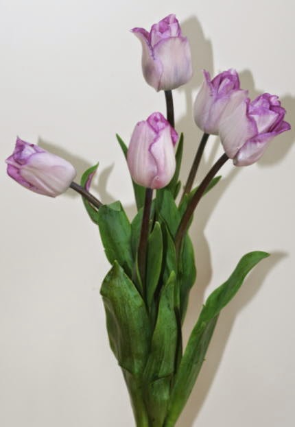 自分が使った花材事典 チューリップ 紫 新 花の情報局のblog
