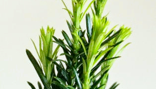 Thumbnail of post image 020
