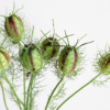 Thumbnail of related posts 069