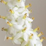 Thumbnail of post image 050