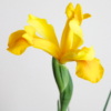Thumbnail of related posts 075