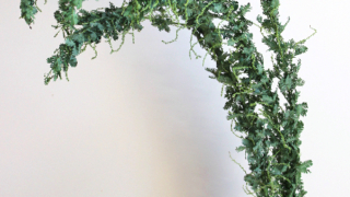 Thumbnail of post image 042