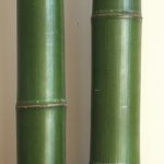 Thumbnail of post image 082