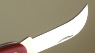Thumbnail of post image 113