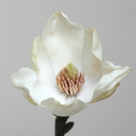 Thumbnail of post image 187