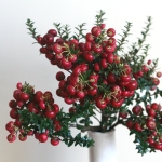Thumbnail of post image 119