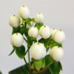 Thumbnail of post image 107