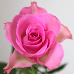 Thumbnail of post image 021