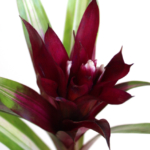 Thumbnail of post image 082