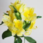 Thumbnail of post image 148