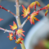 Thumbnail of related posts 083