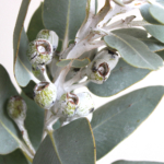 Thumbnail of post image 029