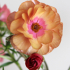 Thumbnail of related posts 037