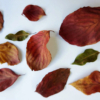 Thumbnail of related posts 027