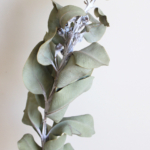 Thumbnail of post image 131