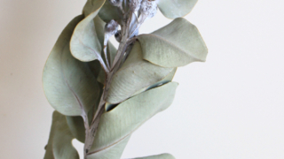 Thumbnail of post image 084