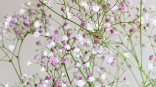 Thumbnail of post image 003
