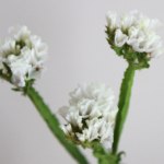 Thumbnail of post image 061