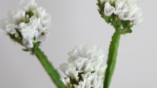 Thumbnail of post image 017