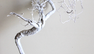 Thumbnail of post image 175