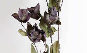 Thumbnail of post image 133