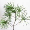 Thumbnail of related posts 151
