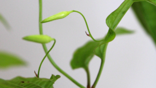 Thumbnail of post image 044