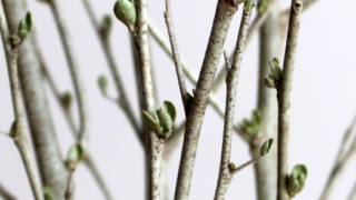 Thumbnail of post image 128