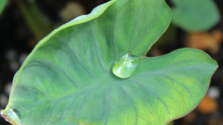 Thumbnail of post image 078
