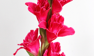 Thumbnail of post image 072