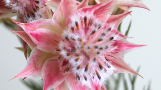 Thumbnail of post image 142