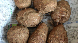 Thumbnail of post image 164