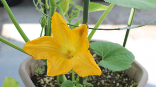 Thumbnail of post image 134