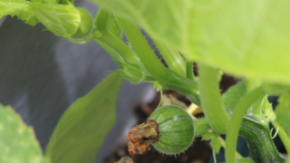 Thumbnail of post image 165