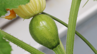 Thumbnail of post image 006