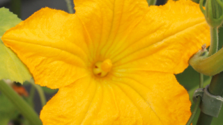 Thumbnail of post image 026