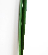 Thumbnail of post image 199
