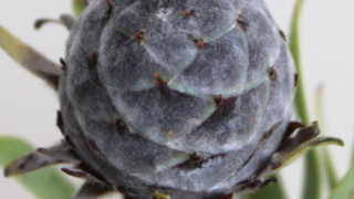 Thumbnail of post image 088