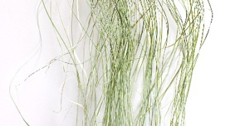 Thumbnail of post image 106