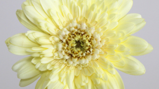 Thumbnail of post image 034