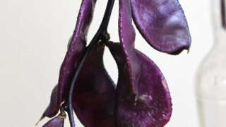 Thumbnail of post image 065