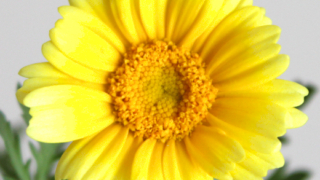 Thumbnail of post image 070