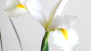 Thumbnail of post image 050