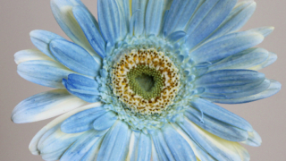 Thumbnail of post image 141