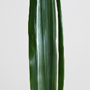 Thumbnail of post image 122